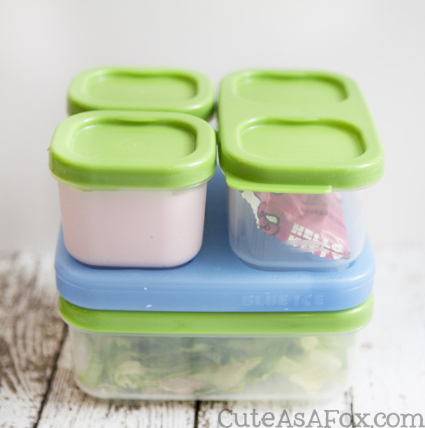 Rubbermaid LunchBlox Review: Our Lunch Box Review